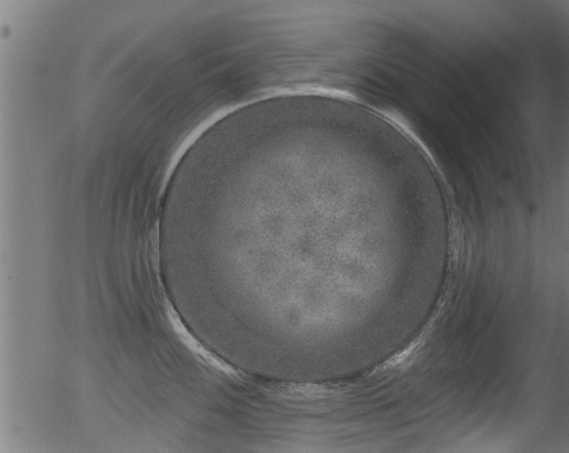 X0000056331100200508291245