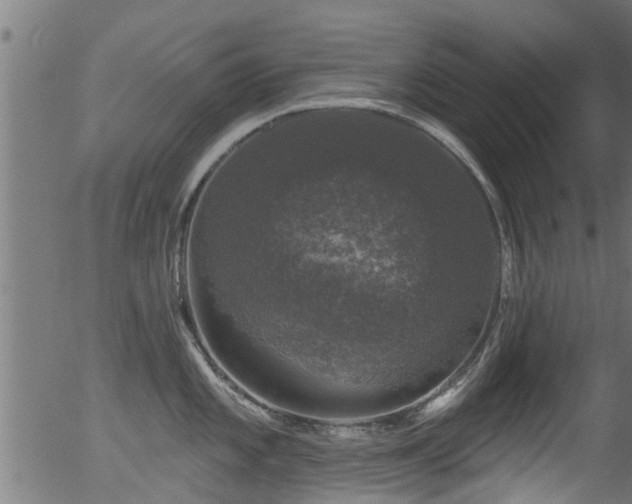 X0000056331101200508291245