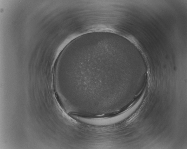 X0000056331102200508291245