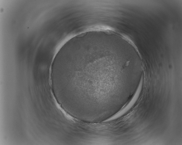 X0000056331103200508291245