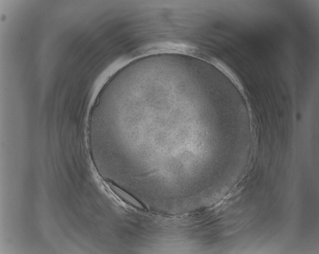 X0000056331104200508291245