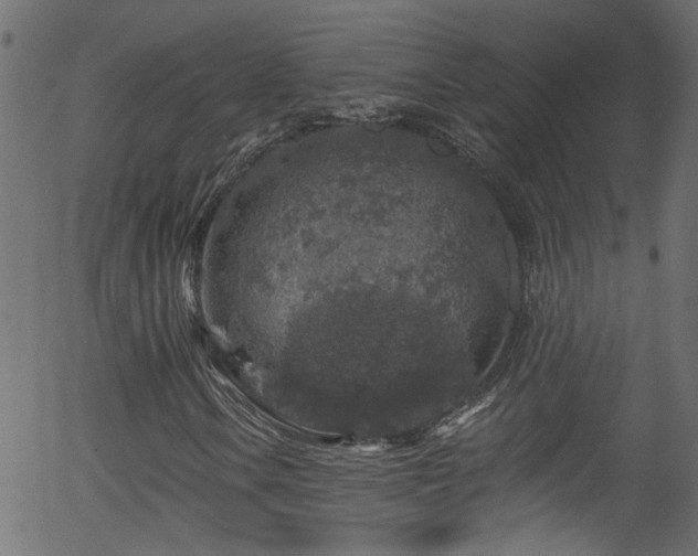 X0000056331106200508291245