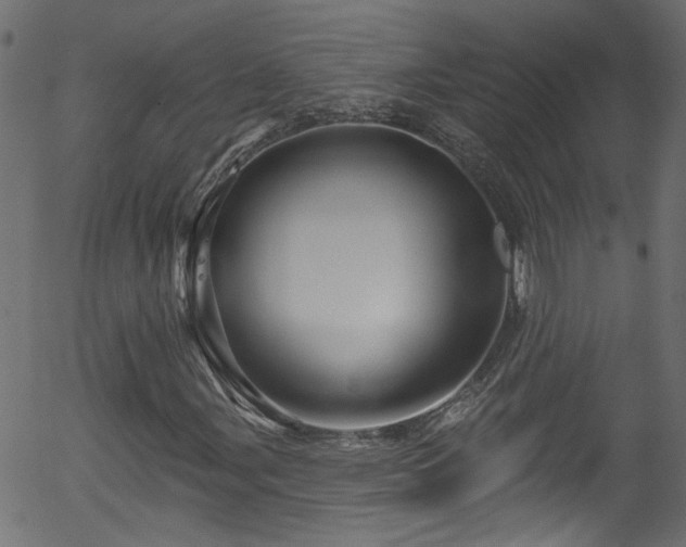 X0000056331107200508291245