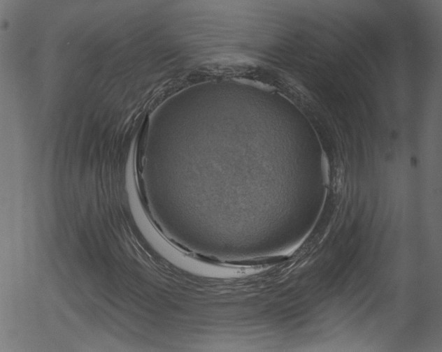 X0000056331108200508291245