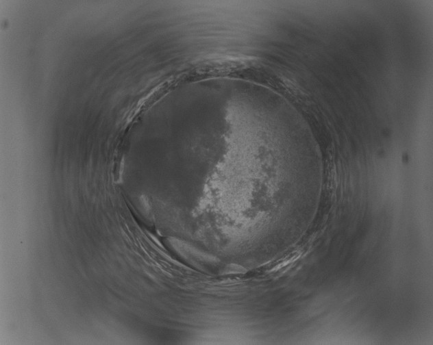 X0000056331109200508291245