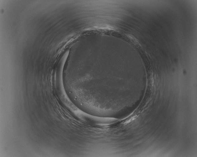 X0000056331110200508291245