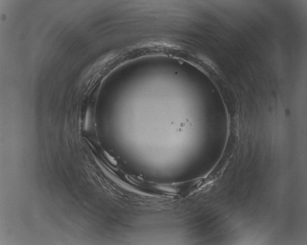 X0000056331111200508291245