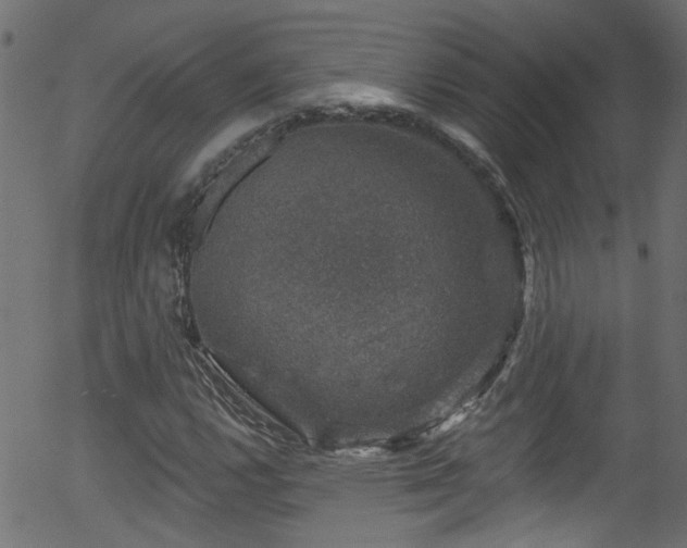 X0000056331112200508291245