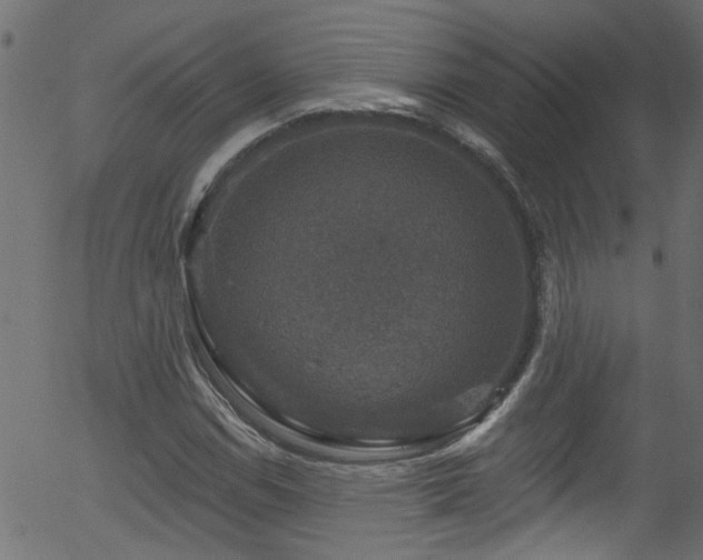 X0000056331114200508291245