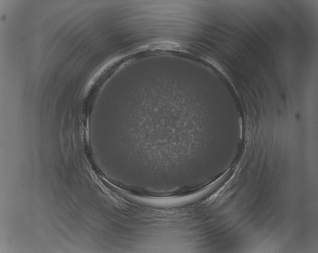 X0000056331115200508291245