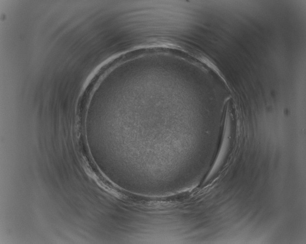 X0000056331116200508291245