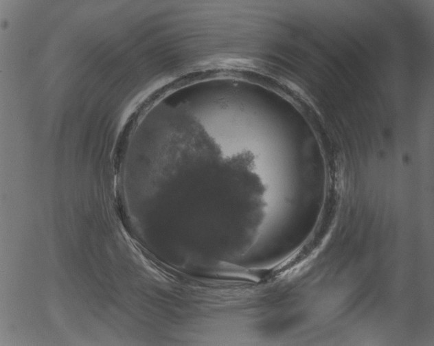 X0000056331117200508291245