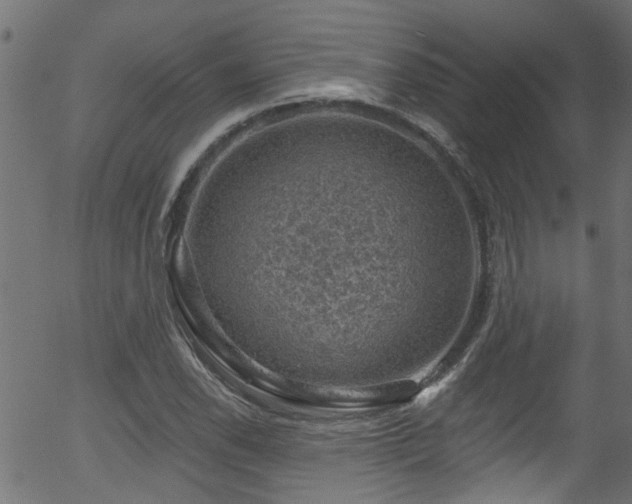 X0000056331118200508291245