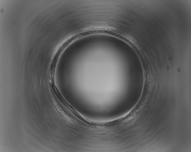 X0000056331119200508291245