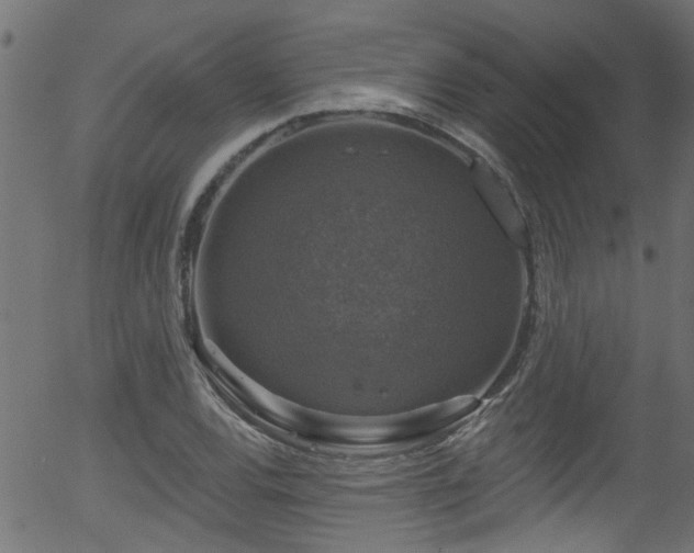 X0000056331120200508291245