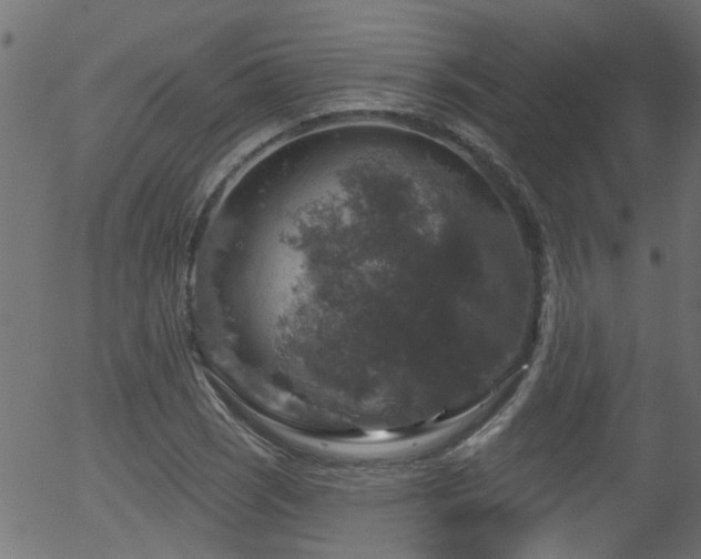 X0000056331121200508291245