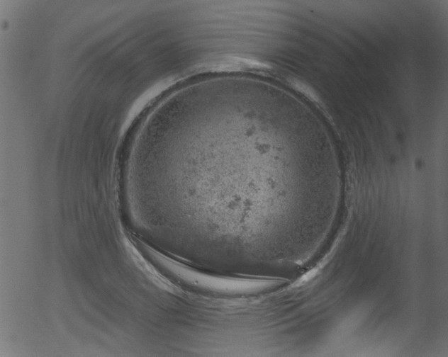 X0000056331122200508291245