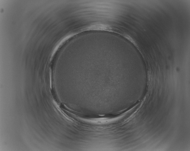 X0000056331123200508291245