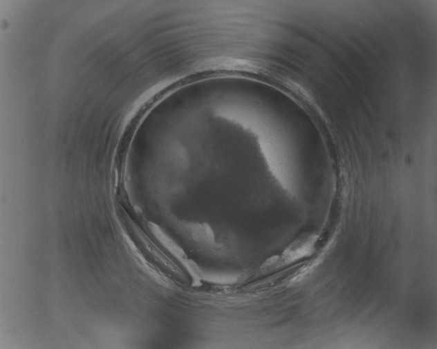 X0000056331125200508291245