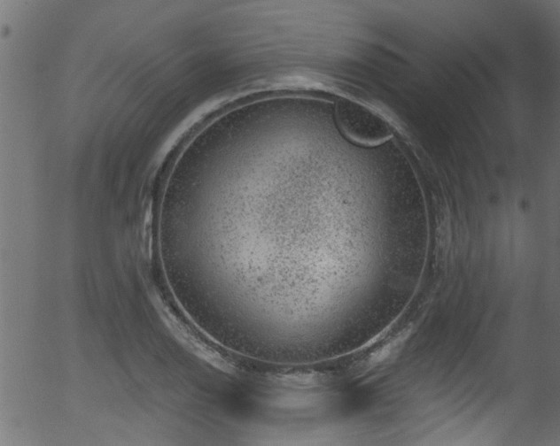 X0000056331126200508291245