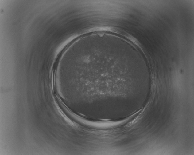 X0000056331127200508291245