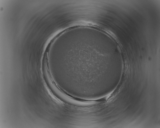 X0000056331128200508291245