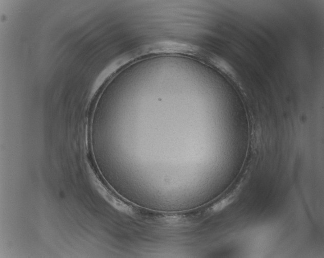 X0000056331130200508291245