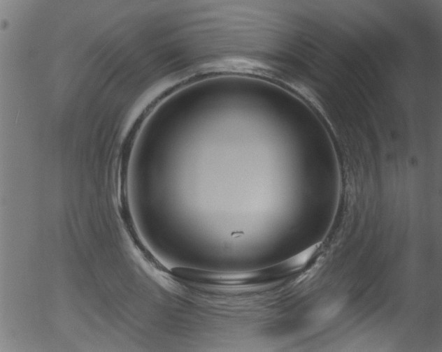 X0000056331131200508291245