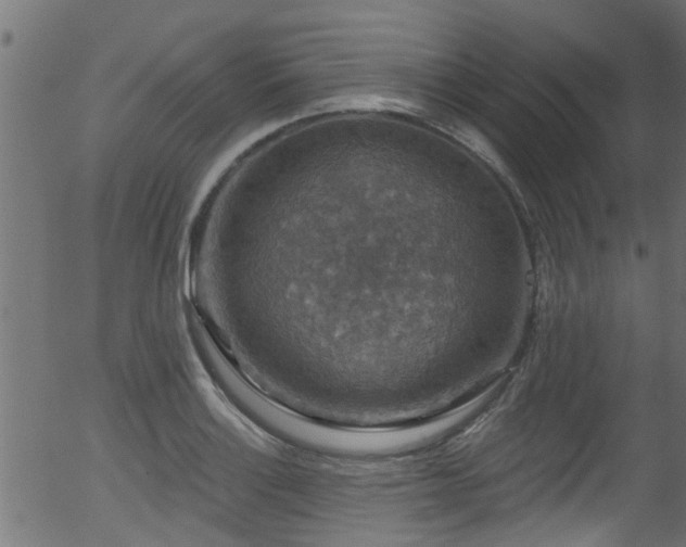 X0000056331132200508291245