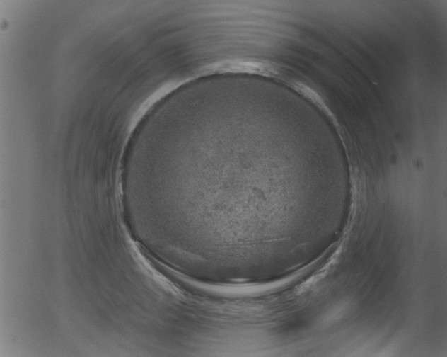 X0000056331133200508291245