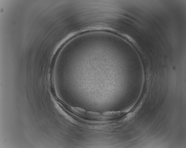 X0000056331134200508291245