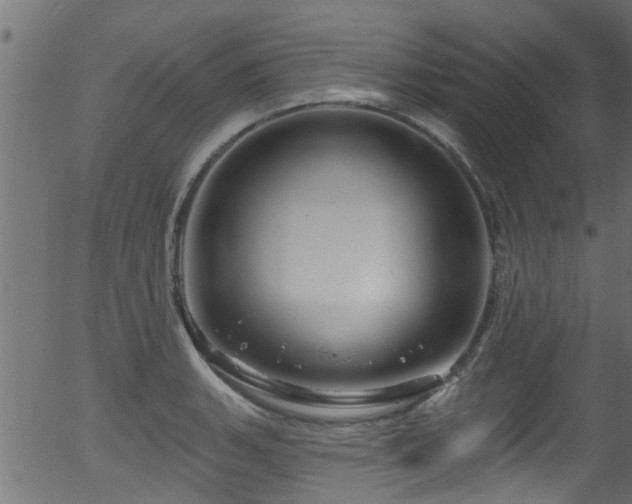 X0000056331135200508291245