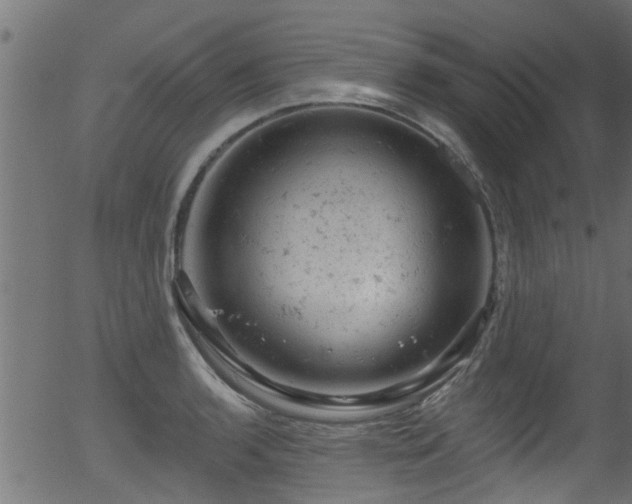 X0000056331136200508291245