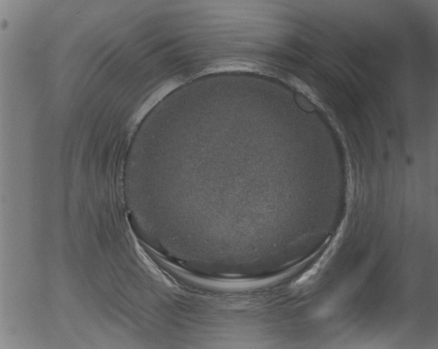 X0000056331137200508291245