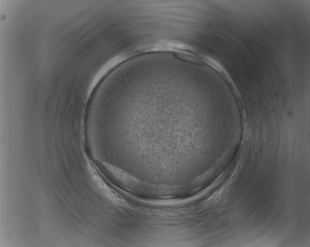 X0000056331138200508291245