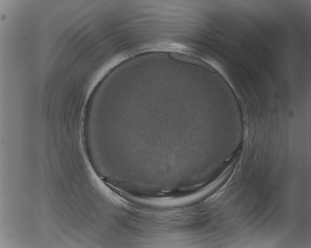 X0000056331139200508291245