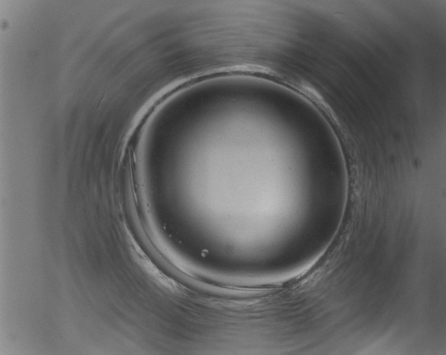 X0000056331140200508291245