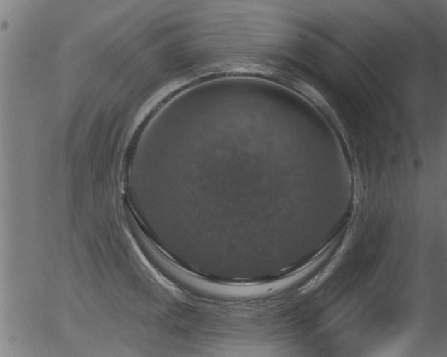 X0000056331141200508291245