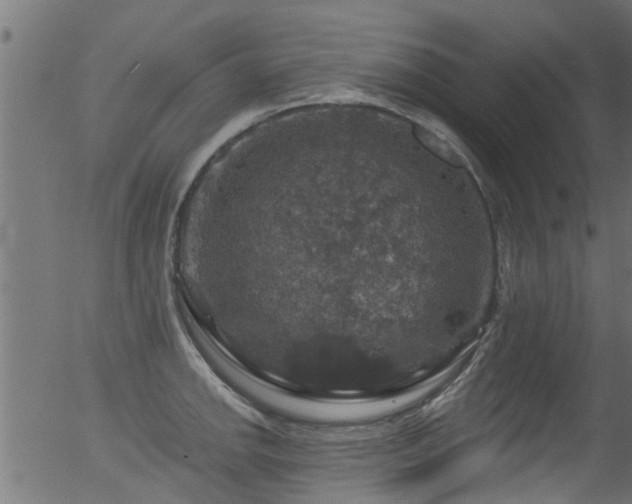 X0000056331142200508291245