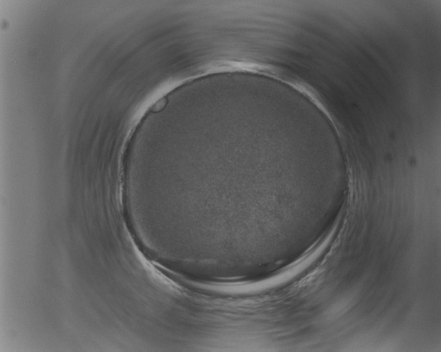 X0000056331143200508291245