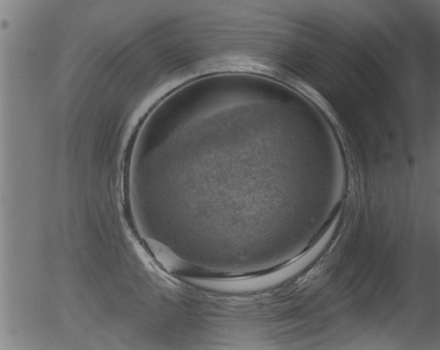 X0000056331144200508291245