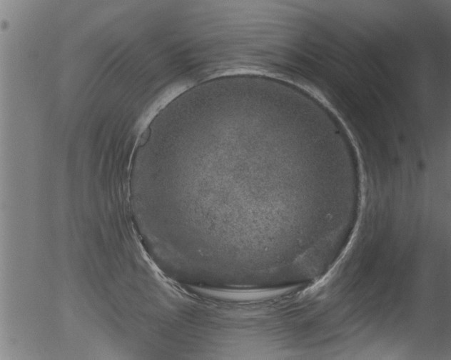 X0000056331145200508291245