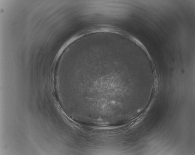 X0000056331146200508291245