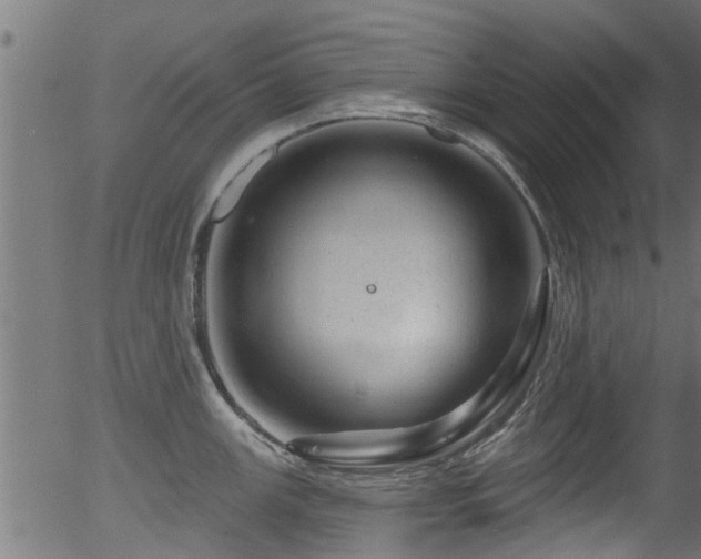 X0000056331147200508291245