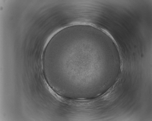 X0000056331148200508291245