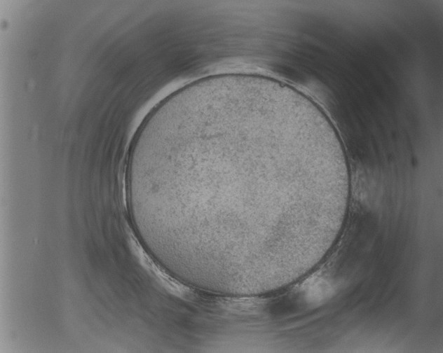 X0000056331150200508291245