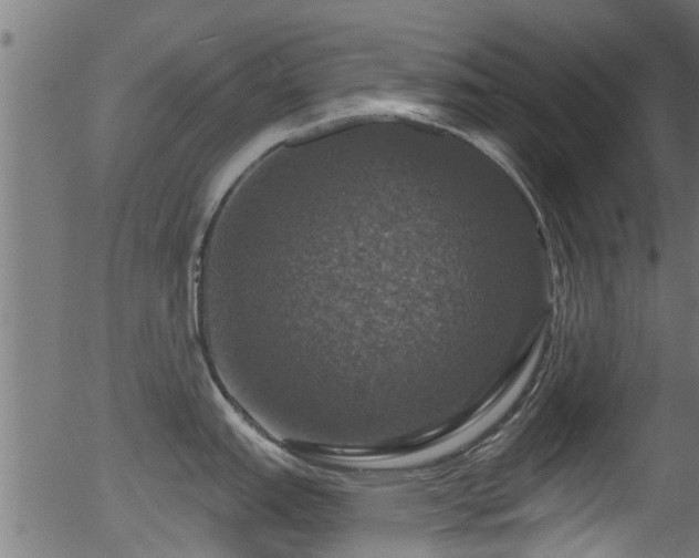 X0000056331151200508291245