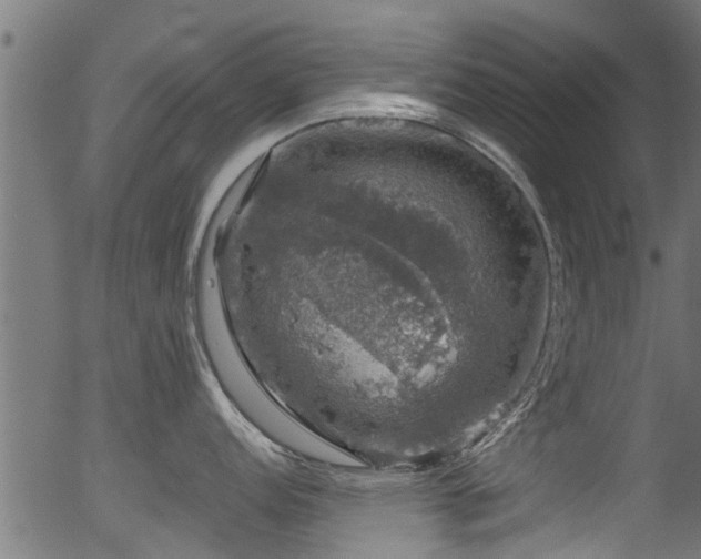 X0000056331152200508291245