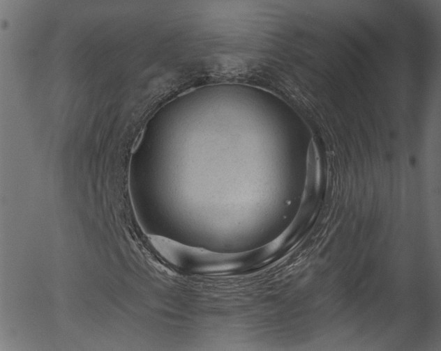 X0000056331153200508291245