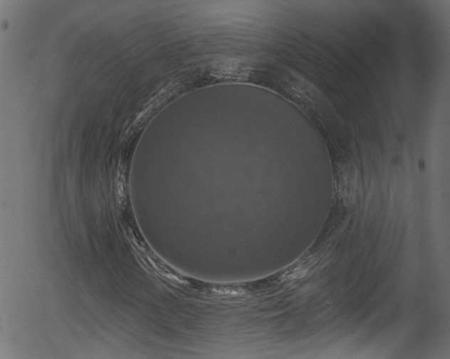 X0000056331154200508291245